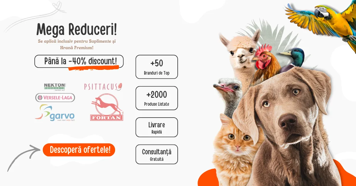 Zazoo Pet Shop - Graphic Design 2